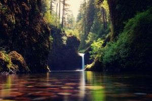 forest waterfall hd