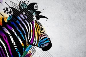 free wallpaper zebras