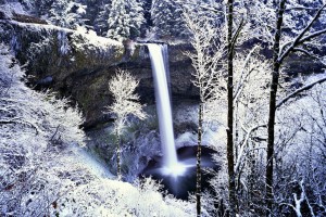 frozen forest background download