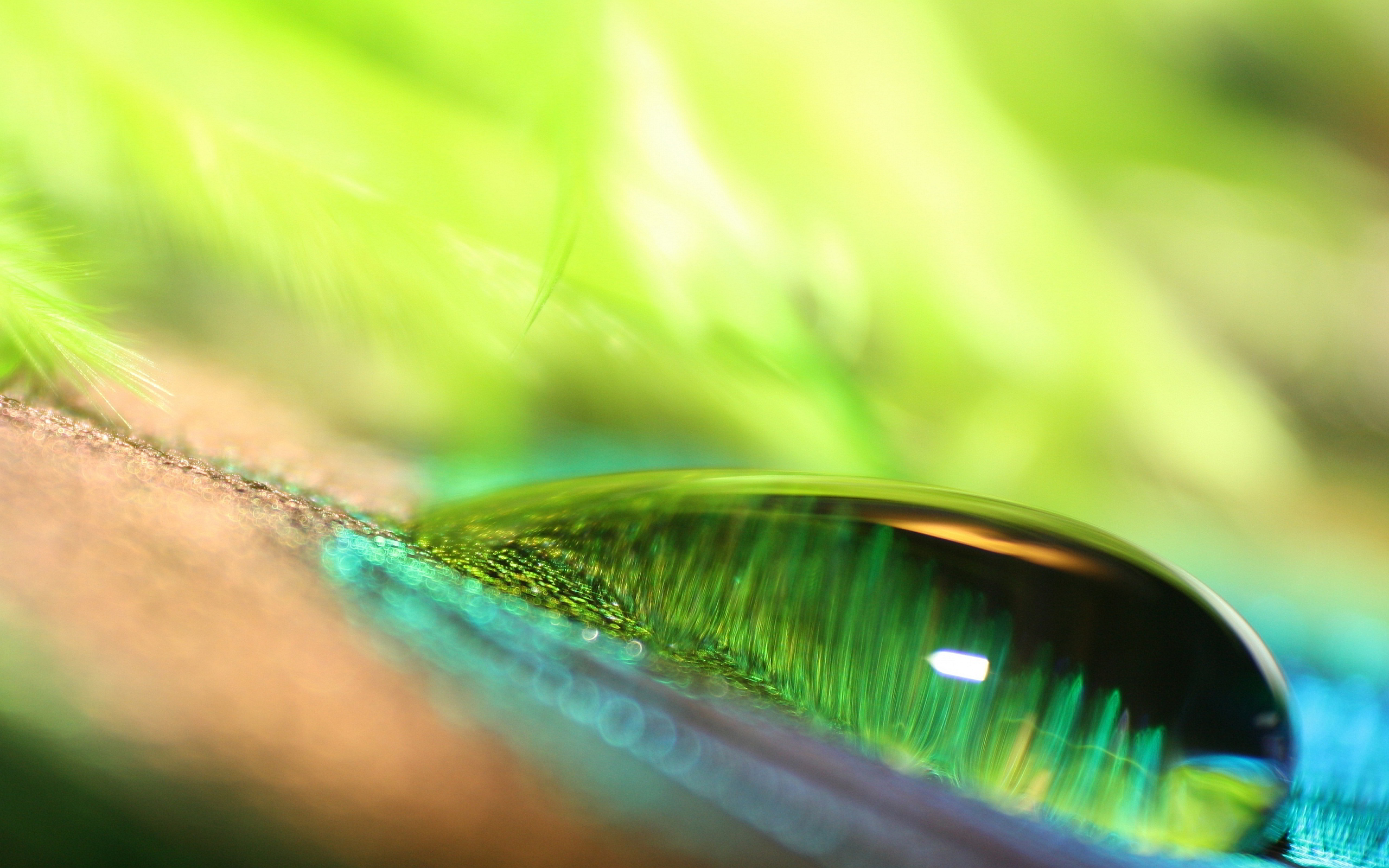 Free photo: Green abstract - Abstract, Bubble, Colors 