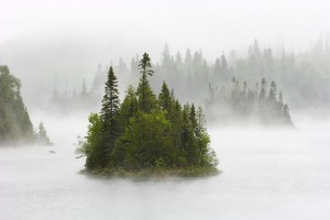 lake wallpaper fog