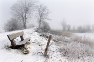 landscape photos winter
