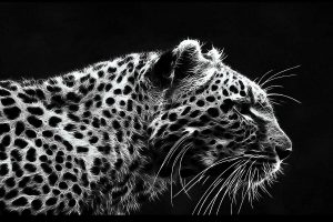 leopard art