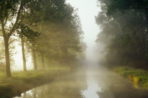 mist wallpaper river