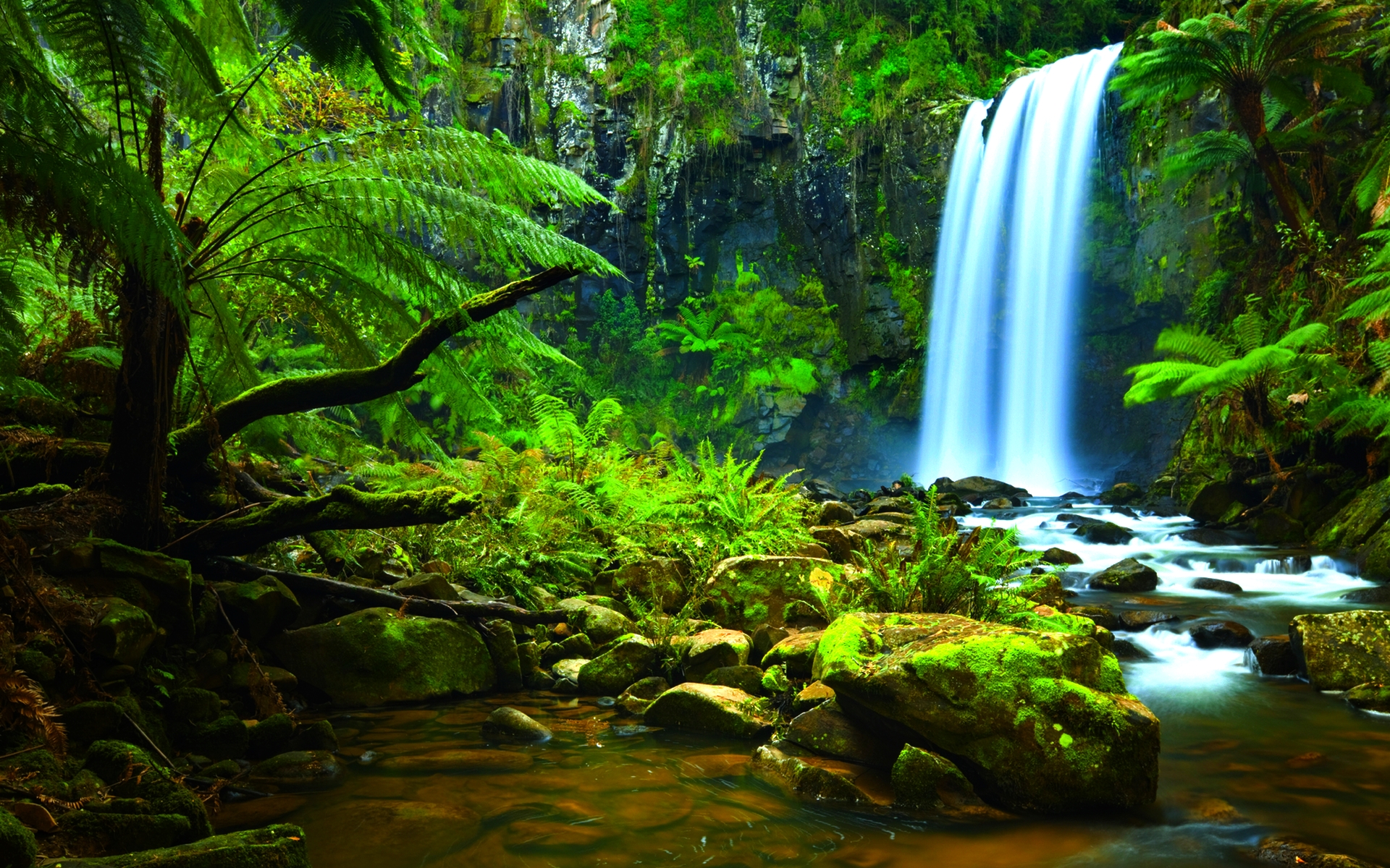 rainforest waterfall