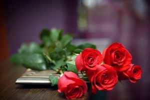 red roses lvoely