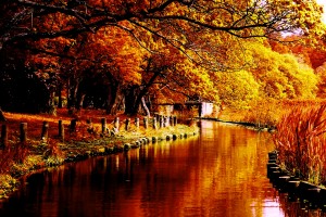 river wallpaper autumn