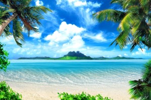 tropical beach background
