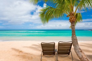 tropical beach chair