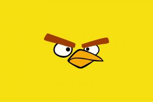 angry bird hd wallpaper A1