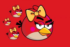 angry bird wallpapers