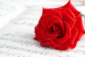 cute red roses wallpaper