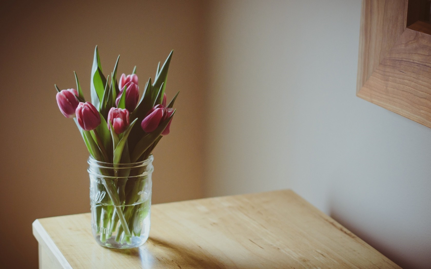 flowers pink tulips vase table