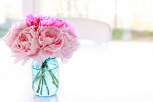 peonies flowers pink jar