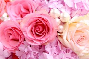 pink and white roses wallpaper