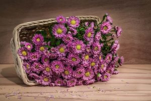 purple flowers basket