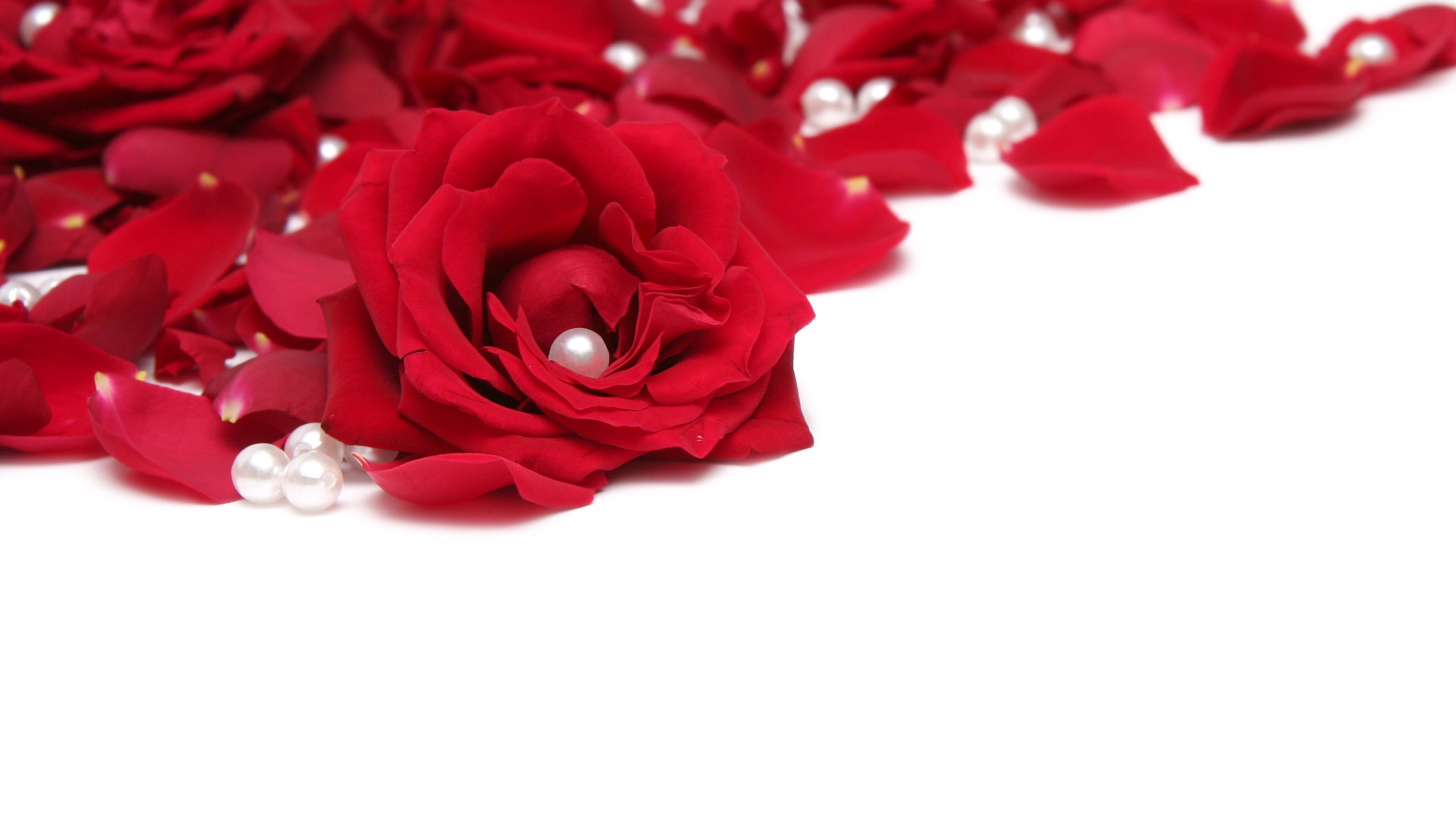 white wallpaper with red flowers