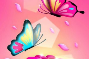 butterfly wallpapers hd 4k (5)