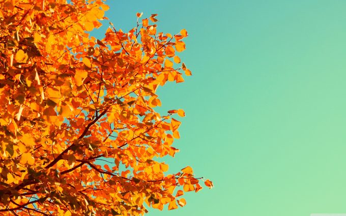 fall wallpapers hd 4k 21 scaled