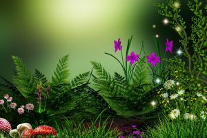 nature wallpapers hd 4k 42