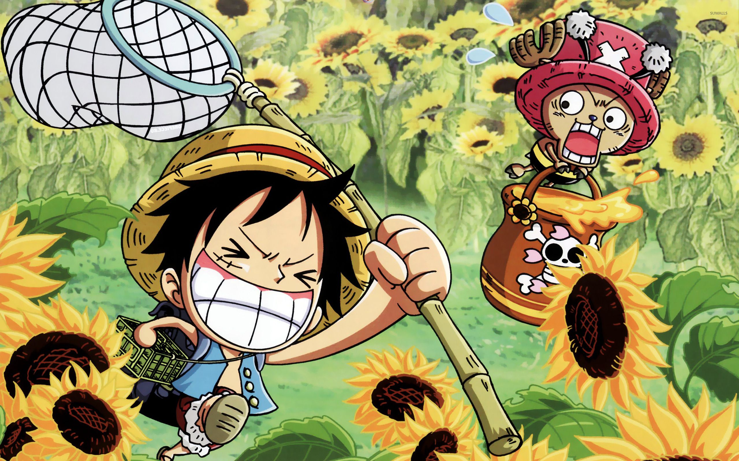one piece wallpapers hd 4k 19
