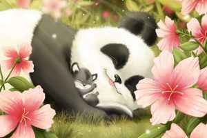 panda wallpaper hd 4k 12