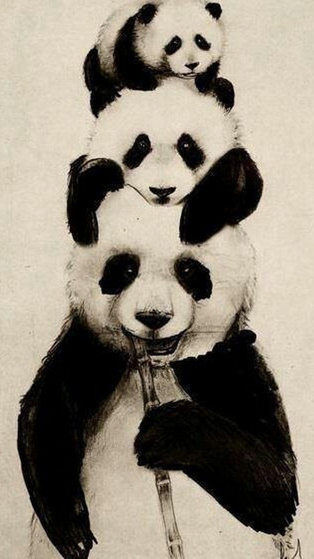 panda wallpaper hd 4k 25