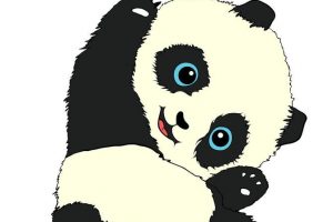 panda wallpaper hd 4k 4