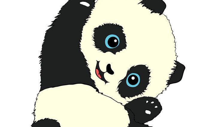 panda wallpaper hd 4k 4