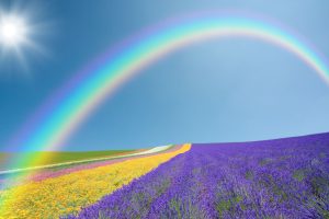 rainbow wallpapers hd 4k 50 scaled