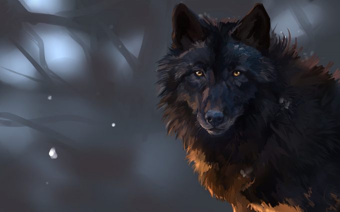wolf wallpapers hd 4k 32 scaled